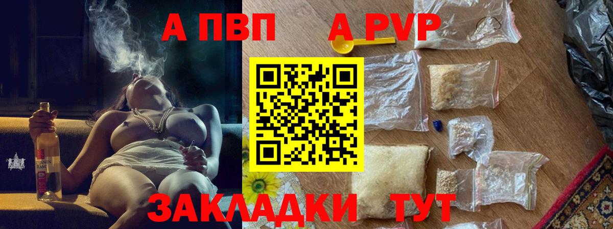APVP СК КРИС Кингисепп