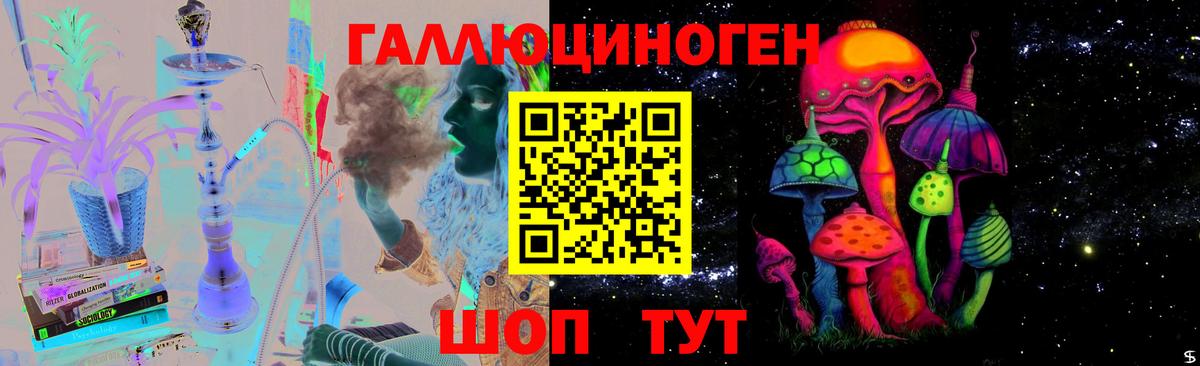 Кингисепп  Псилоцибиновые грибы Cubensis  Вход с VPN 