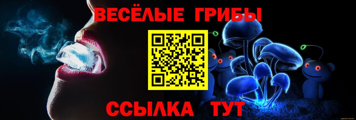 Галлюциногенные грибы мухоморы Кингисепп